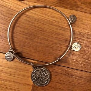 Alex and Ani Silver Energy charm bracelet bangle
